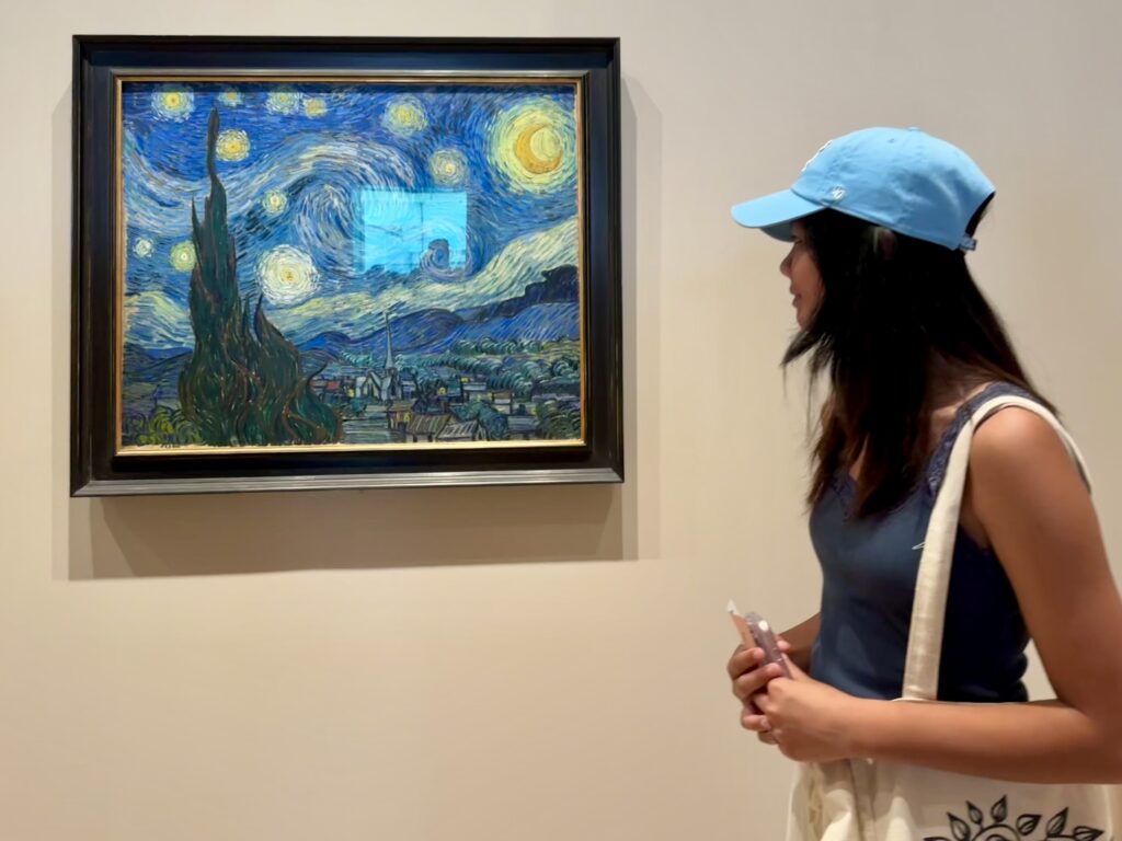 Starry Night by Vincent Van Gogh at Museum of Modern Art in New York City